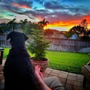 Meet your Posher, Robbi